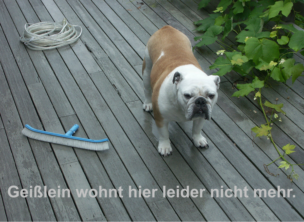 Geilein wohnt hier leider nicht mehr.